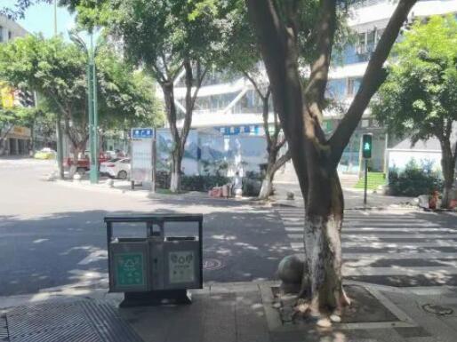 增设分类垃圾桶 环保卫生引市民点赞
